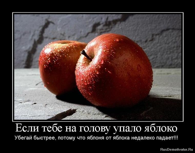 Демотиватор: Если тебе на голову упало яблоко - Убегай быстрее, потому что яблоня от яблока недалеко падает!!!