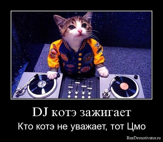 Демотиватор: DJ котэ зажигает - Кто котэ не уважает, тот Цмо