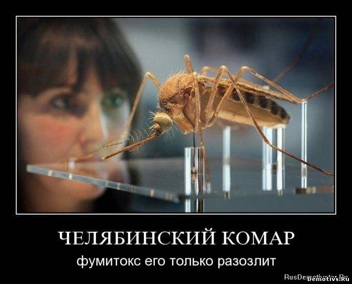 Демотиватор: Челябинский комар