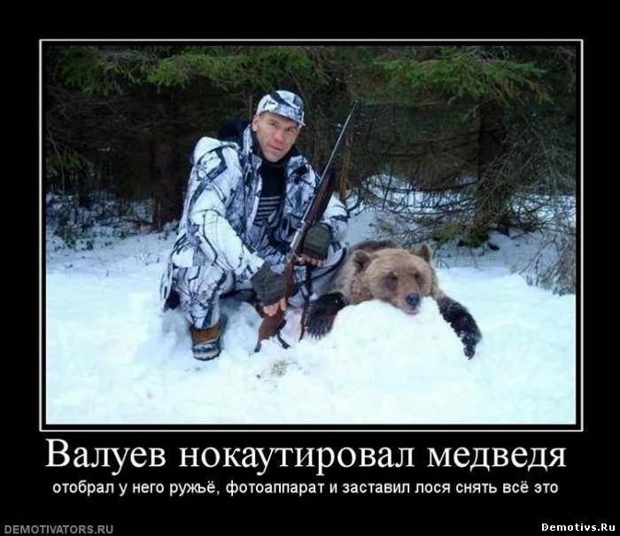 Демотиватор: Валуев нокаутировал медведя...