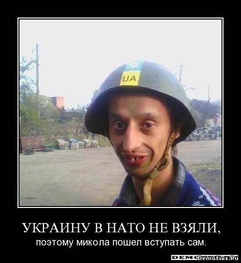 Демотиватор: Украину в НАТО не взяли...