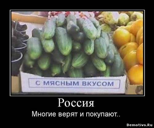 Демотиватор: Россия. Многие верят и покупают.