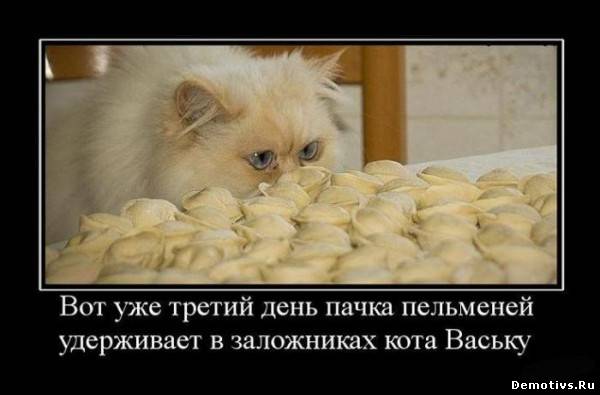 Демотиватор: Вот уже третий день кота Ваську удерживают в заложниках пельмени