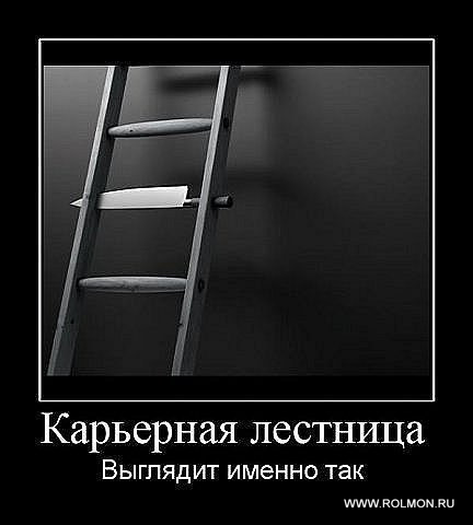 Демотиватор: Карьерная лестница выглядит именно так